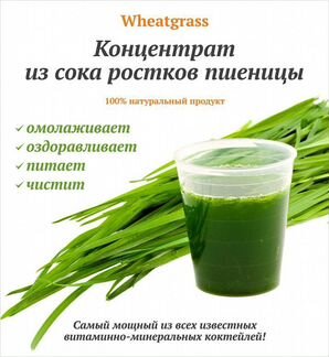 Витграсс Сок из ростков пшеницы