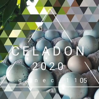 Celadon, селадон