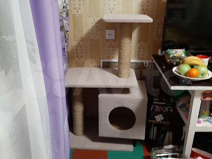 Когтеточка