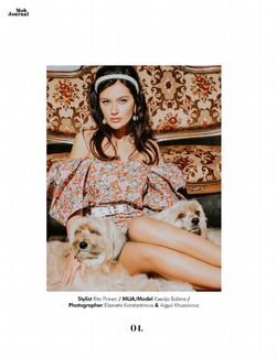 Собаки для фотосессии