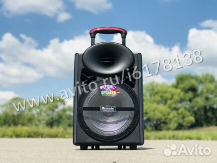 Портативная колонка для караоке Meirende MR-103