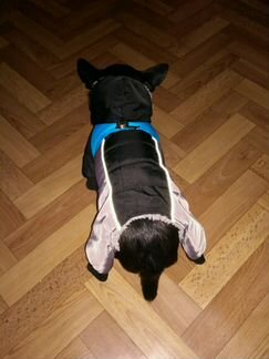 Комбинезон зимний